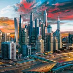 Strategic Innovations That Investment Companies Are Bringing In To The UAE Market